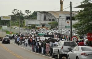 greve valeo